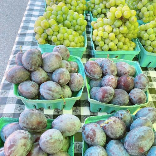 241835359_581304856561787_1691465253090968063_n