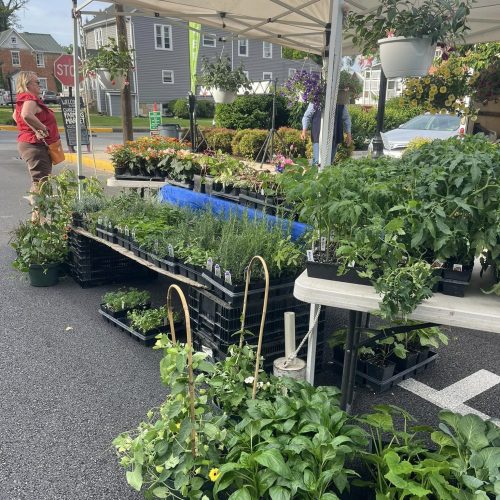 347592269_917978709417010_3417044886281122140_n