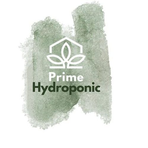 440419697_1116368699586013_8684431233872404864_n